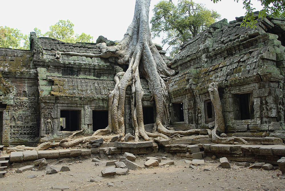 Que Faire Au Cambodge